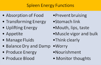 spleen-energy-functions